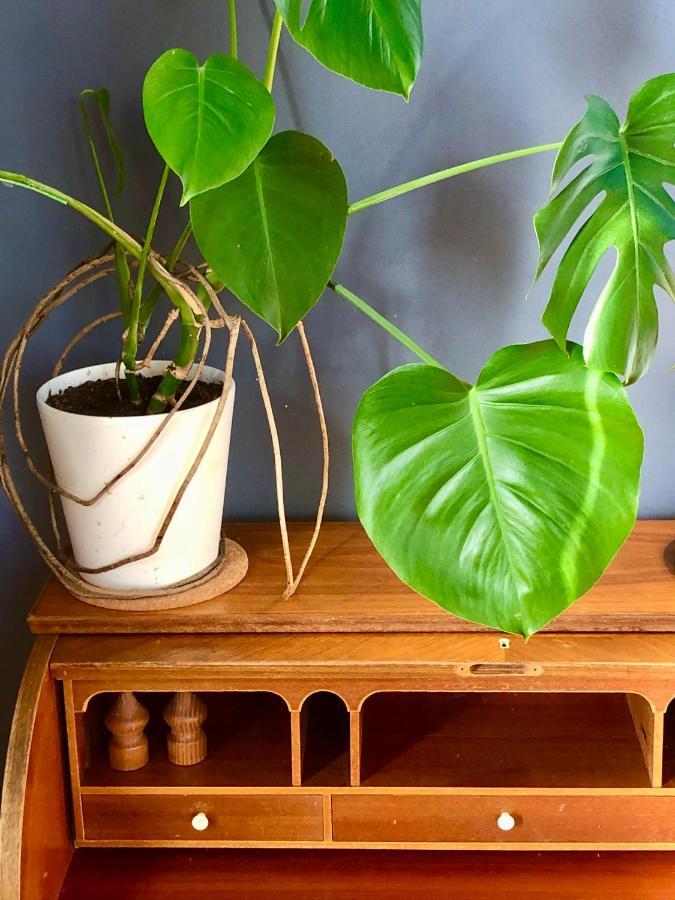 Faerglabbets Bed And Breakfast Sunne Ngoại thất bức ảnh